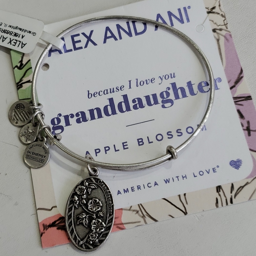 Alex and Ani Granddaughter Silvertone Bracelet